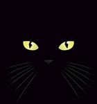 Gato Preto