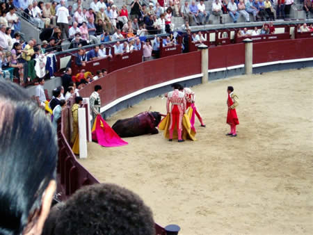 Tourada