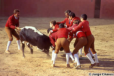 Tourada
