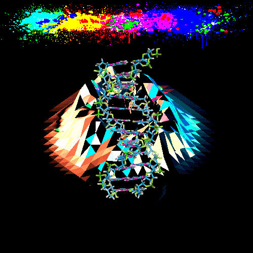 DNA