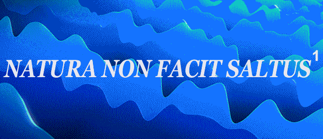 NATURA NON FACIT SALTUS