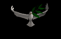 Paz