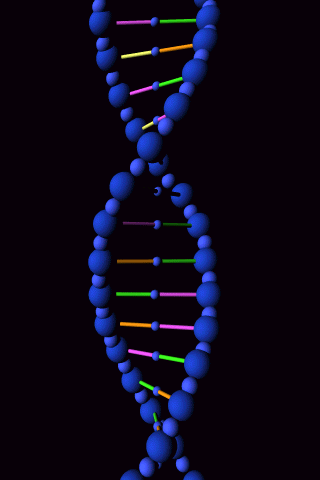 DNA