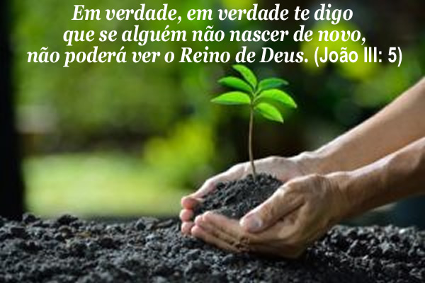 Renascer
