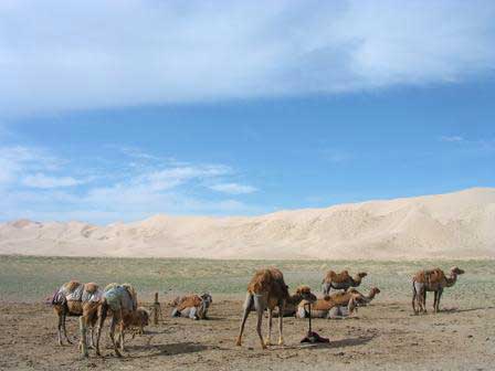DESERTO DE GOBI