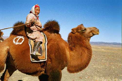 DESERTO DE GOBI