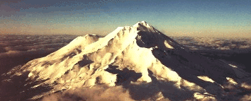 MONTE SHASTA