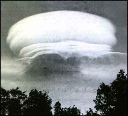MONTE SHASTA