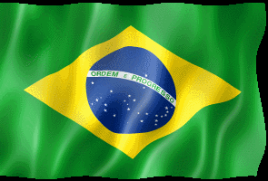 Bandeira Brasileira