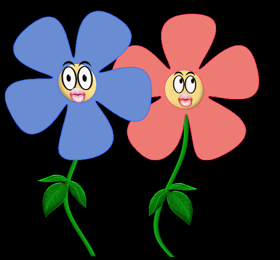 Flores