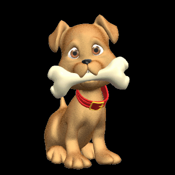 Cachorro