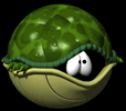 Tartaruga