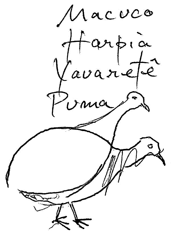 Tom Jobim (Manuscrito)
