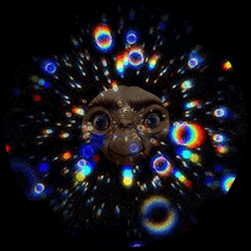 Unimultiverso