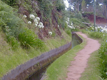 Estrada