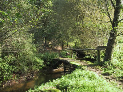 PONTE