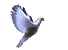 PAZ
