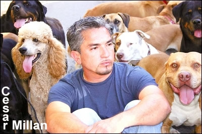 Cesar Millan