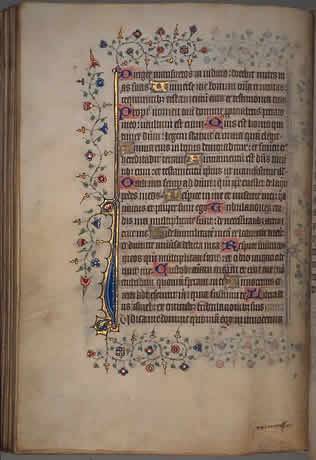 Salmo XXIV, 20