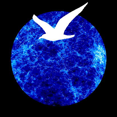 Gaivota